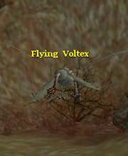 Flying Voltex